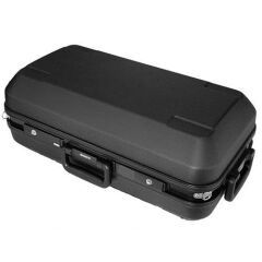 Sony FE 600mm f/4 GM OSS Lens