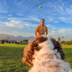 Insta360 Pet Harness Mount ( M )