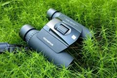 Olympus WP II 10x25 Dürbün