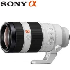 Sony FE 100-400mm F/4.5-5.6 GM OSS Lens