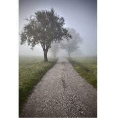Savage (U.S.A) Foggy Road (Sisli Yol) Printed Vinyl Backdrop
