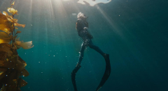 GoPro HERO11 Black Aksiyon Kamerası