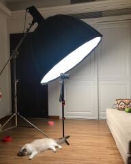 Golden Eagle LED-3000 Sürekli Işık Kumandalı