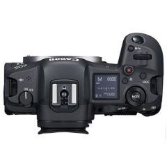 Canon EOS R5 + 24-105mm f/4-7.1 STM Lens