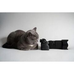 Tamron 50-300mm f/4.5-6.3 Di III VC VXD Lens (Sony)