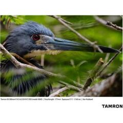 Tamron 50-300mm f/4.5-6.3 Di III VC VXD Lens (Sony)