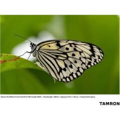 Tamron 50-300mm f/4.5-6.3 Di III VC VXD Lens (Sony)