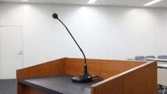 Tascam TM-95GN Yönetim Kurulu Odası Ve Konferans Mikrofonu