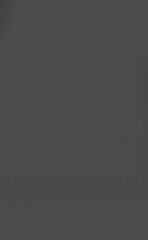 Visico Carbon Grey 2.72 x 11 Metre Fon Kağıdı