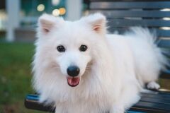 7Artisans 28mm F1.4 Leica Full Frame Lens