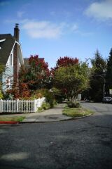 7artisans 35mm F2.0 Sony Lens (Full Frame)