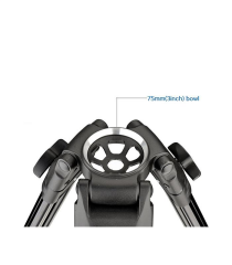 Digipod DTW-75AW Video Tripod Kiti