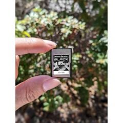 Delkin Devices 480GB BLACK CFexpress Type A 4.0 Hafıza Kartı