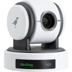 BirdDog Eyes P100 1080p Tam NDI PTZ Kamera (Beyaz)