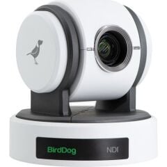 BirdDog Eyes P100 1080p Tam NDI PTZ Kamera (Beyaz)