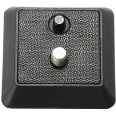 Vanguard QS-29 Plate