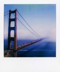 Polaroid Color Film for i-Type 8'li Film