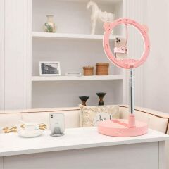 Andoer G2 Mai LED Yumuşak Halka Işık (26cm)