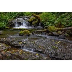 Sigma 28-105mm f/2.8 DG DN Art Lens (Sony E)