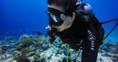 GoPro Yeşil Sular için Dalış Filtresi