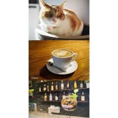 7artisans 25mm F1.8 Manual Focus Prime Fixed Lens Sony (E-Mount)