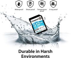 KINGSTON 256GB SDXC CANVAS GO PLUS 170R C10 UHS-I U3 V30   SD CARD SDG3/256GB