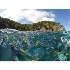 Sanger Gopro Hero 5 Su Altı Dome Port