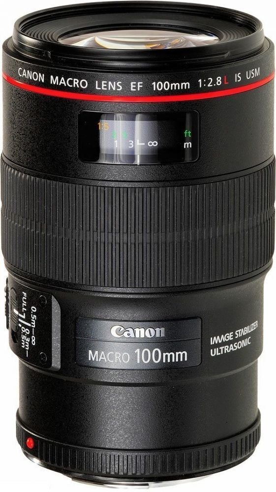 Canon EF 100mm f/2.8L IS USM Macro Lens