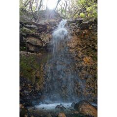 Sigma 28-45mm f/1.8 DG DN Art Lens (Sony E)