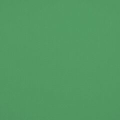 Savage (U.S.A) Stüdyo Fon Chroma Green Vinyl (152cm x 365cm)