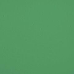 Savage (U.S.A) Stüdyo Fon Chroma Green Vinyl (152cm x 365cm)