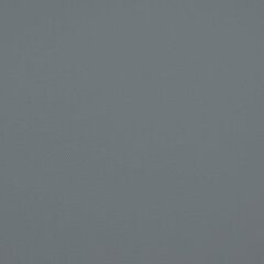 Savage (U.S.A) Stüdyo Fon Photo Gray Vinyl (152cm x 365cm)