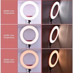 Lifei LF-R480C Ring Led Işık (Siyah)