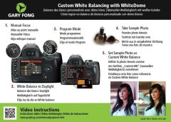 Gary Fong Lightsphere Collapsible Lighting Kit Wedding & Event