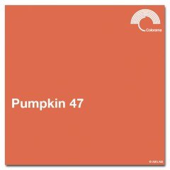 Colorama Pumpkin -47- Kağıt Fon