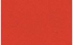 Lastolite Red 2.72X11M Kağıt Fon 9008