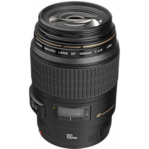 Canon EF 100mm f/2.8 USM Macro Lens
