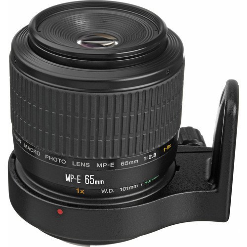 Canon MP-E 65mm F/2.8 1-5x Macro Lens