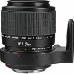Canon MP-E 65mm F/2.8 1-5x Macro Lens