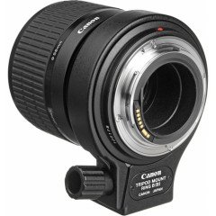 Canon MP-E 65mm F/2.8 1-5x Macro Lens