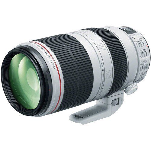 Canon EF 100-400mm F/4.5-5.6L IS II USM Lens