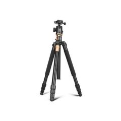 Arcury TP03 Tripod