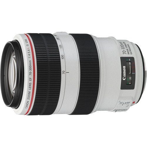 Canon EF 70-300mm f/4-5.6L IS USM Lens