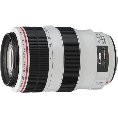 Canon EF 70-300mm f/4-5.6L IS USM Lens