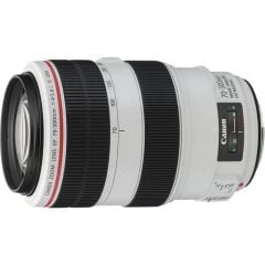 Canon EF 70-300mm f/4-5.6L IS USM Lens