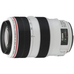 Canon EF 70-300mm f/4-5.6L IS USM Lens