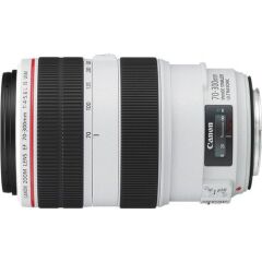 Canon EF 70-300mm f/4-5.6L IS USM Lens