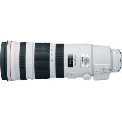 Canon EF 200-400mm f/4L IS USM Extender 1.4x