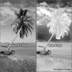 Hoya İnfrared R72 55mm Filtre