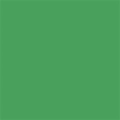 Colorama Chromagreen - 33 Kağıt Fon